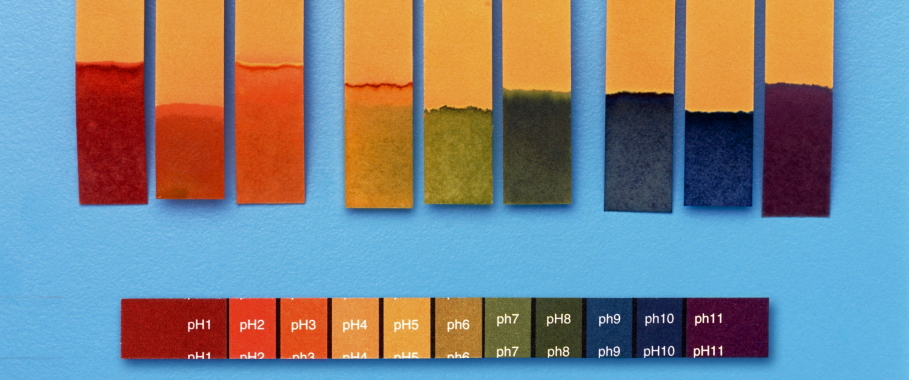 pH scale